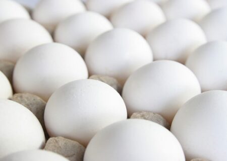 ۲۰ درصد تخم‌مرغ تولیدی قزوین به قیمت بازار