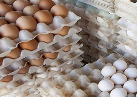 عرضه تخم مرغ ارزان