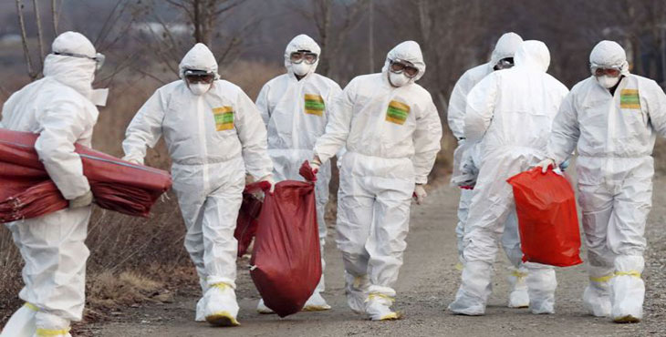 فصل آنفلوانزای پرندگان نزدیک است