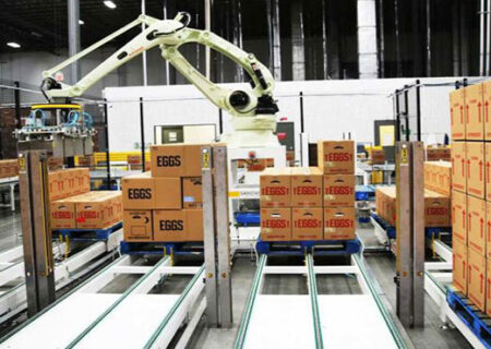 مجوزی برای صادرات تخم‌مرغ نمی‌دهیم