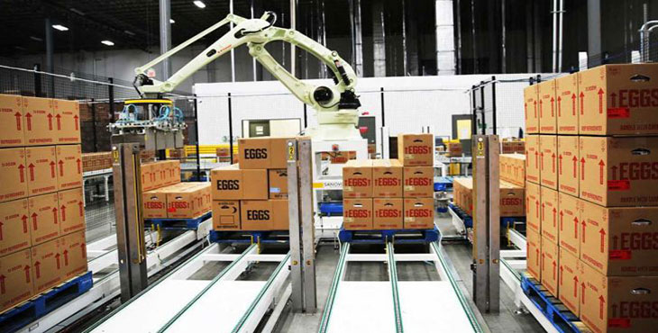 مجوزی برای صادرات تخممرغ نمیدهیم