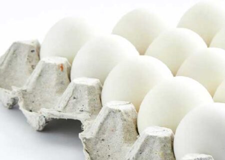 توزیع تخم مرغ تنظیم بازاری