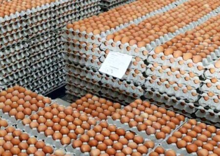 واردات تخم مرغ از بین بردن بیت المال است