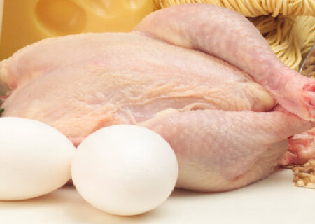 تخم‌مرغ به مرغ رسید