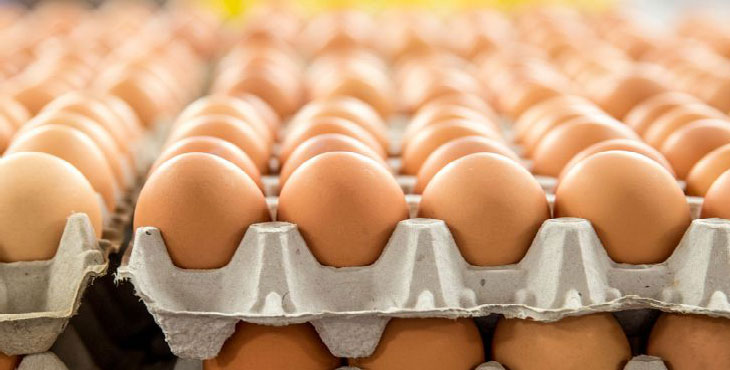۲۰۰ تن تخم مرغ وارد کشور شد