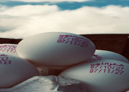 آغاز جمع‌آوری تخم‌مرغ مازاد،قیمت حدود ١٠٠٠ تومان افزایش یافت