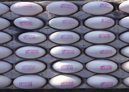 ممنوعیت فروش و توزیع تخم مرغ بدون هویت