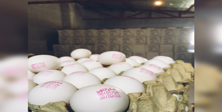 نیمی از تخممرغ تولیدی قم به خارج از استان صادر میشود