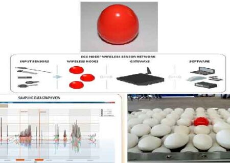 تخم مرغ بی سیم NodeTM