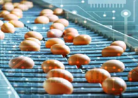 تخم مرغ کیلویی ۸۴۰۰تومان تمام می‌شود، ۶۲۰۰تومان می‌‌فروشیم