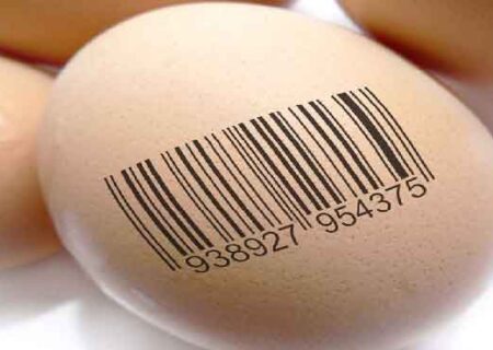 تخم مرغ های مارک دار