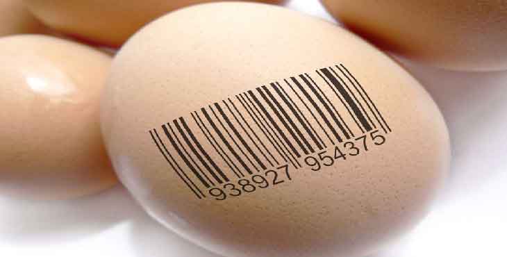 تخم مرغ های مارک دار