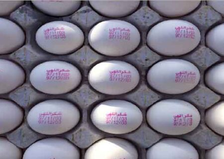 تخم مرغ ارزان تر از نرخ مصوب شد