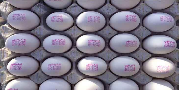 تخم مرغ ارزان تر از نرخ مصوب شد