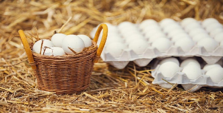 تأمین ۶ درصد تخم مرغ کشور در آبیک