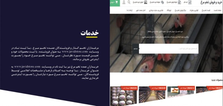 فروش اینترنتی تخم مرغ