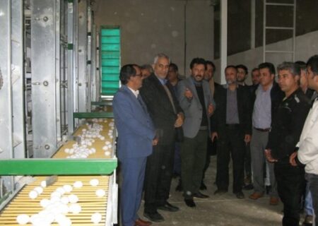 بزرگترین مجموعه درحال ساخت تولید تخم مرغ کشور