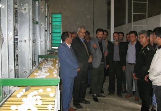 بزرگترین مجموعه درحال ساخت تولید تخم مرغ کشور