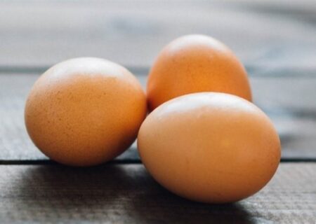 مروری بر مهمترین اخبار سال 1398 صنعت طیور تخمگذار