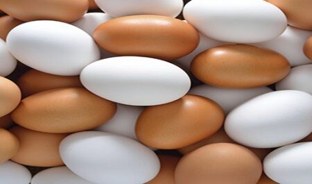 توقیف ۵۲ دستگاه تریلی حامل تخم مرغ قاچاق