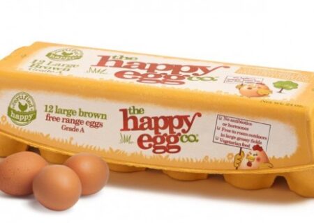 کمپین تبلیغاتی جدید  شرکت Happy Egg