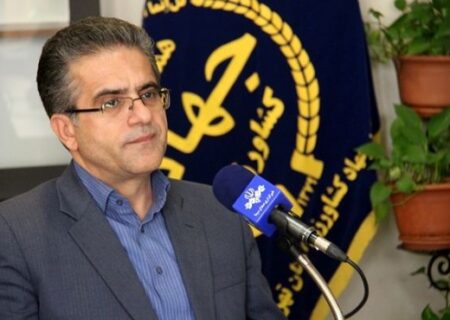 ۱۶ درصد تخم مرغ کشور در استان تهران تولید می‌شود