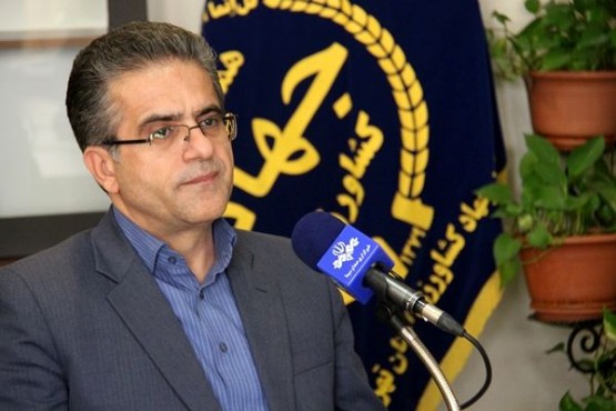 ۱۶ درصد تخم مرغ کشور در استان تهران تولید میشود