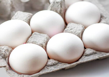 قیمت تخم مرغ کمترین نوسان را در بازار داشته است.