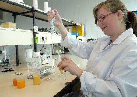 تفاوت در ویژگی های تخم پرندگان مختلف