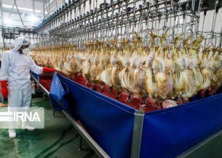 کرونا به دام و طیور منتقل نمی‌شود