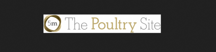 جایگزین های مناسب کنجاله سویا در جیره غذایی طیور