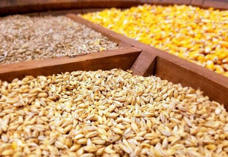 قیمت نهاده‌ها افزایش می یابد