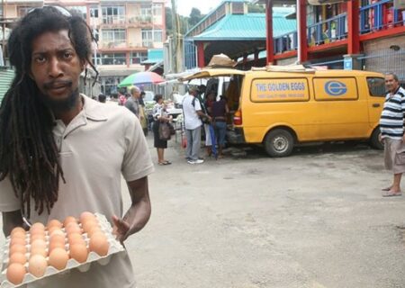 صنعت مرغداری با افت گردشگری به واسطه ویروس کویید ۱۹ آسیب دیده است.