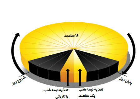 تغذیه نیمه شب طیور تخمگذار