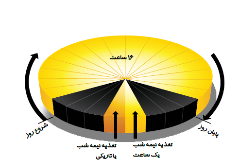 تغذیه نیمه شب طیور تخمگذار