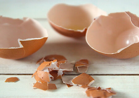 تاثیر شرایط اقلیمی بر روی پوسته تخم مرغ