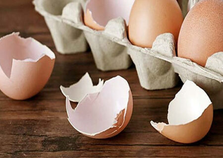 عوامل موثر بر کیفیت پوسته تخم مرغ