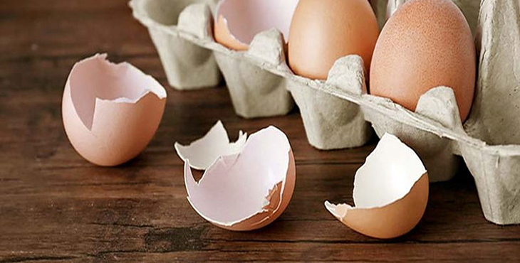 عوامل موثر بر کیفیت پوسته تخم مرغ