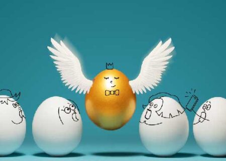 درجه بندی تخم مرغها