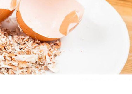 بازیافت پوسته تخم مرغ