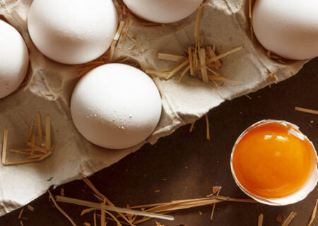 مشکلات صنعت دام و طیور افزایش یافته