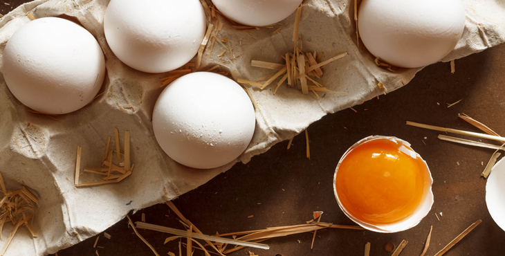 مشکلات صنعت دام و طیور افزایش یافته