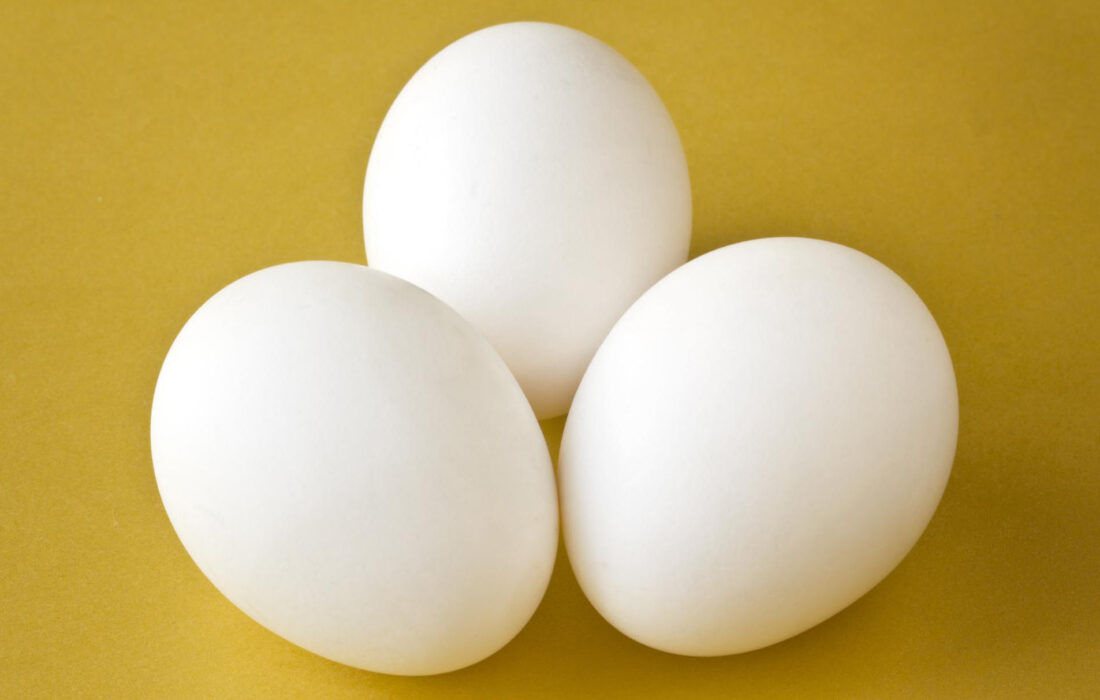 تخم مرغ هم کوپنی می شود؟