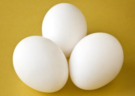 تخم مرغ هم کوپنی می شود؟