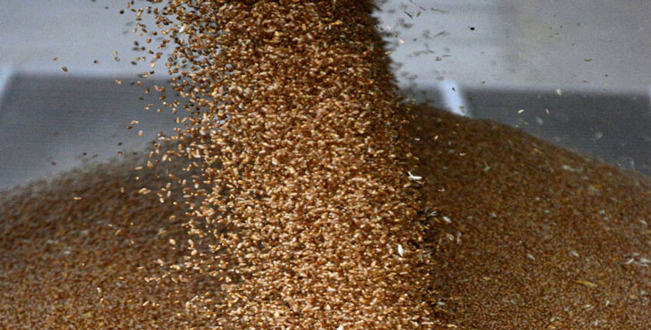 وضعیت بغرنج در بندر امام؛ ابعاد تکان‌دهنده فاجعه‌ای به نام رسوب نهاده‌ها