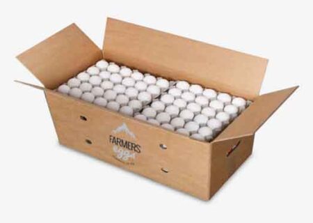 صادرات تخم مرغ نطفه دار گوشتی از استان مرکزی ۱۰۰ درصد افزایش یافت.