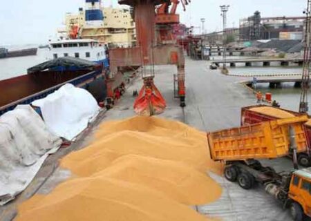 شرایط واردات نهاده‌های دامی اعلام شد.