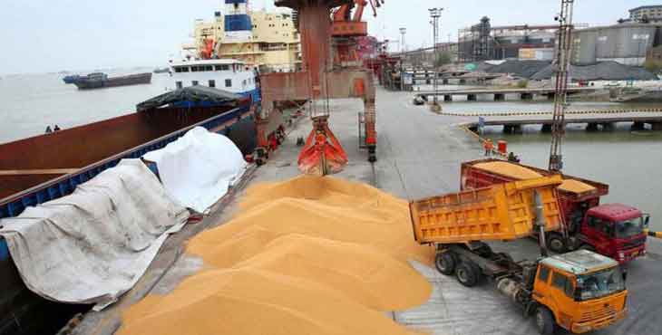 شرایط واردات نهاده‌های دامی اعلام شد.