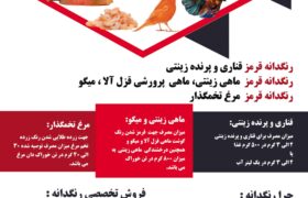 کاروفیل زرد 10% و کاروفیل قرمز 10%