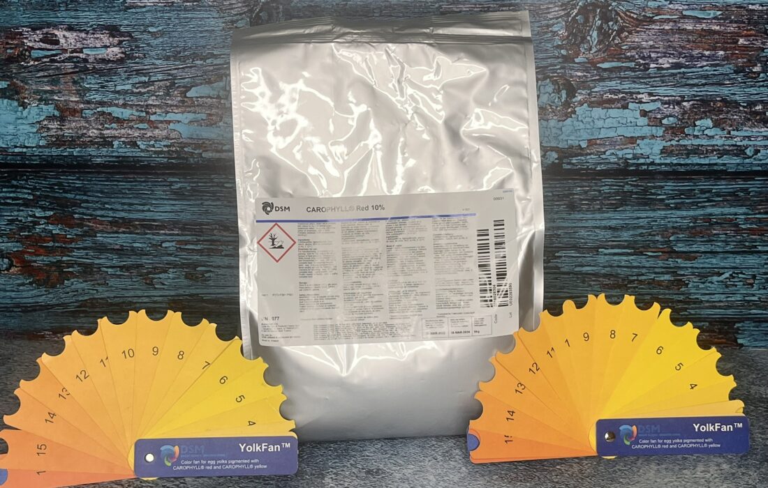 فرمولاسیون رنگدانه مرغ تخمگذار